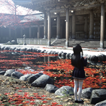 prayer at the old temple